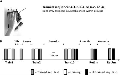 A Delayed Advantage: Multi-Session Training at Evening Hours Leads to Better Long-Term Retention of Motor Skill in the Elderly